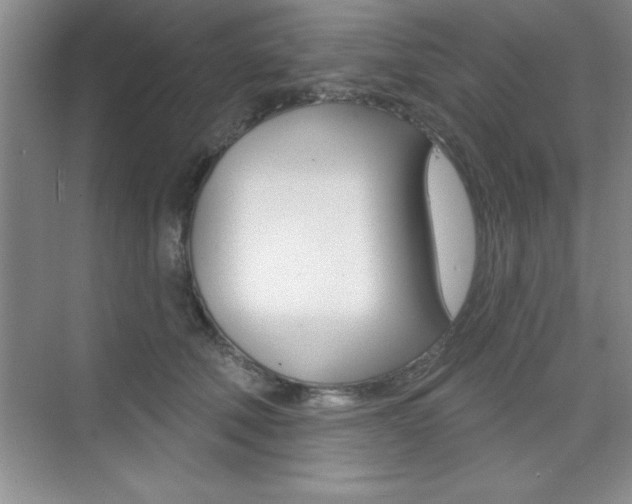 X0000073870610200608101109