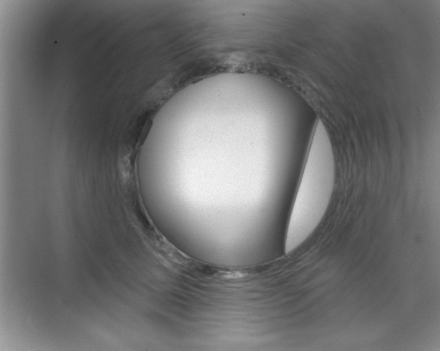 X0000073870611200608101109