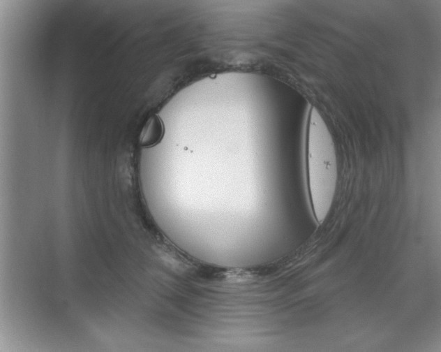 X0000073870612200608101109