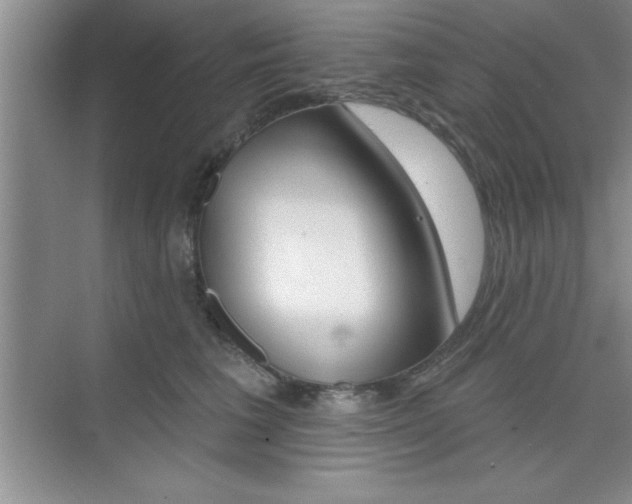 X0000073870613200608101109