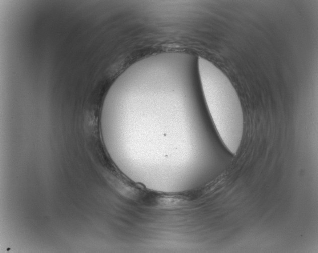 X0000073870614200608101109