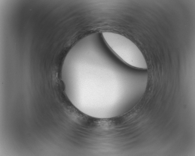 X0000073870615200608101108