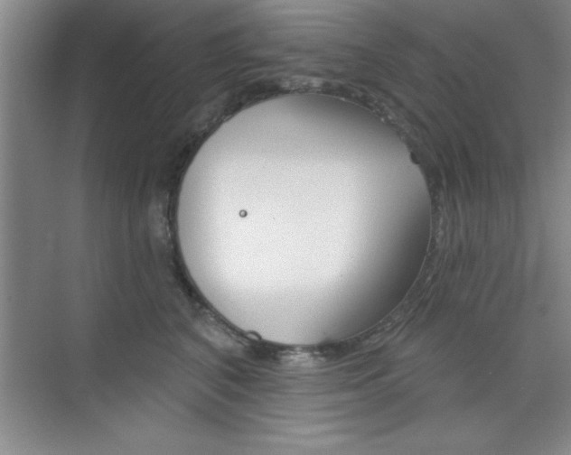 X0000073870616200608101108