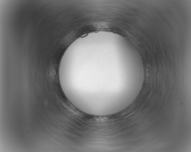 X0000073870618200608101108