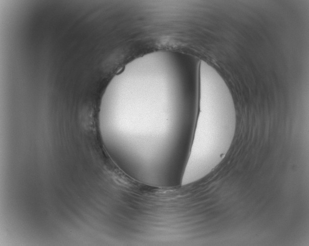 X0000073870619200608101108