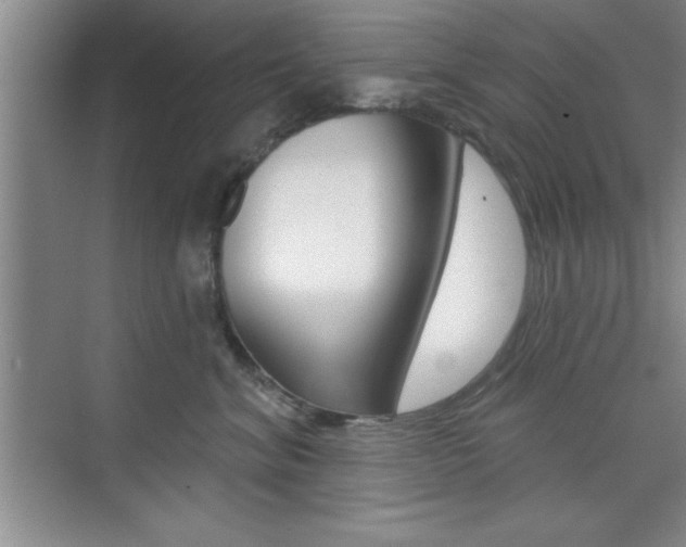 X0000073870620200608101108