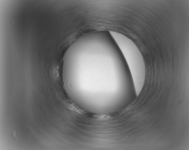 X0000073870621200608101108