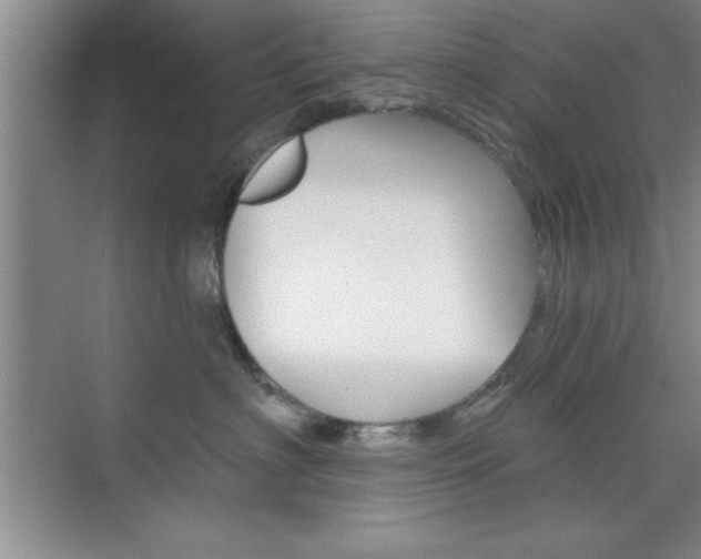 X0000073870622200608101108