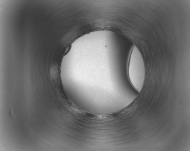 X0000073870623200608101108