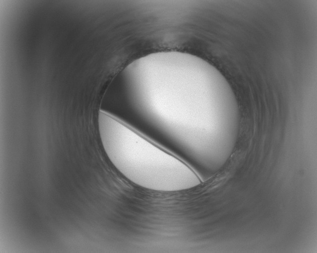 X0000073870624200608101108