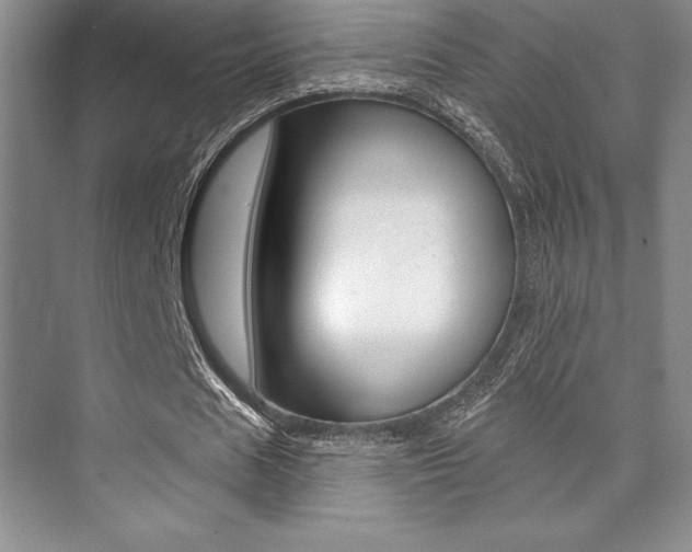 X0000073870625200608101108