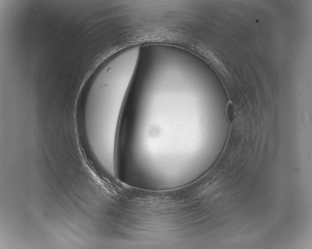 X0000073870626200608101108