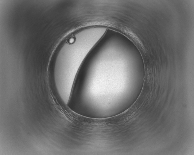 X0000073870628200608101108