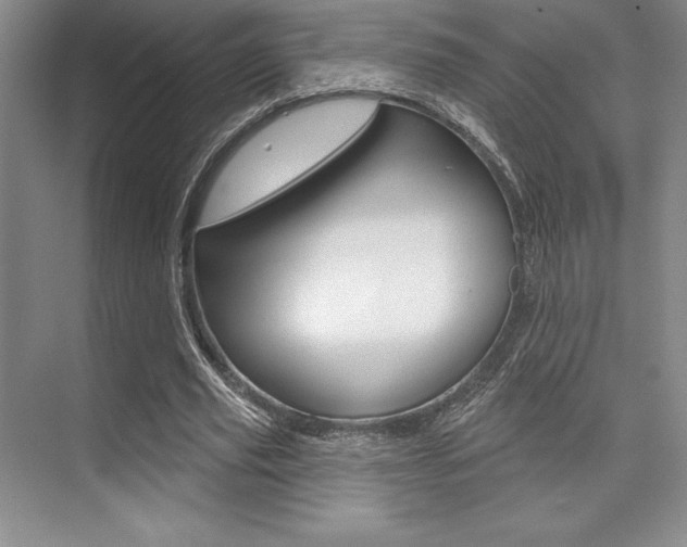 X0000073870629200608101108