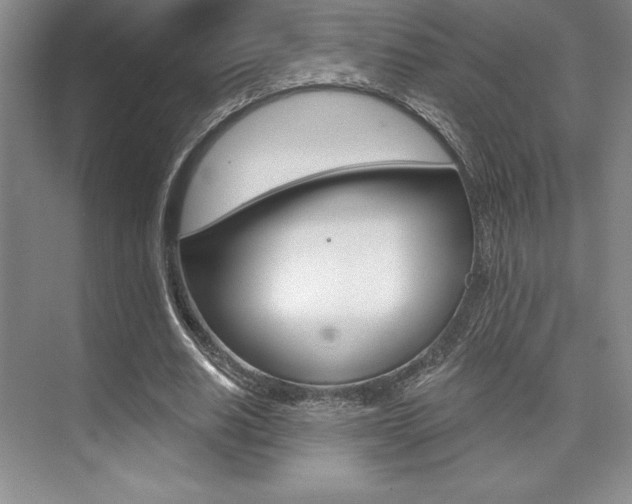 X0000073870630200608101108