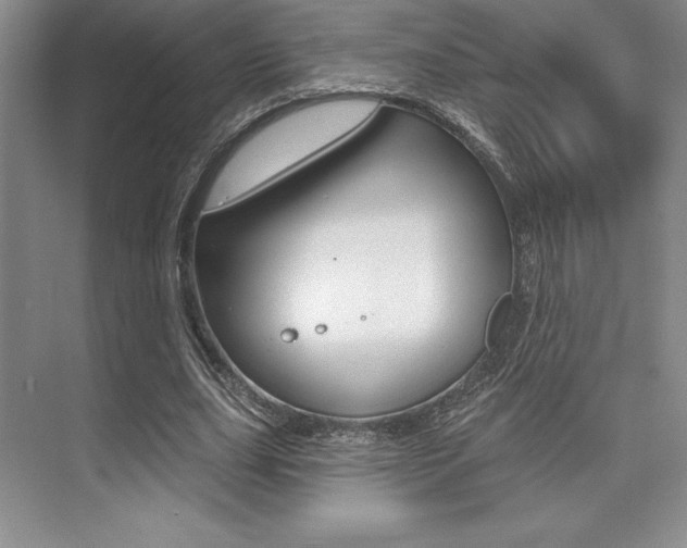 X0000073870631200608101108