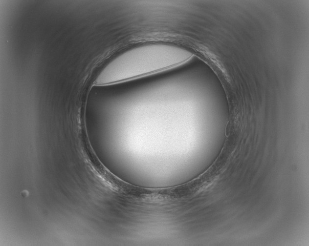 X0000073870633200608101108