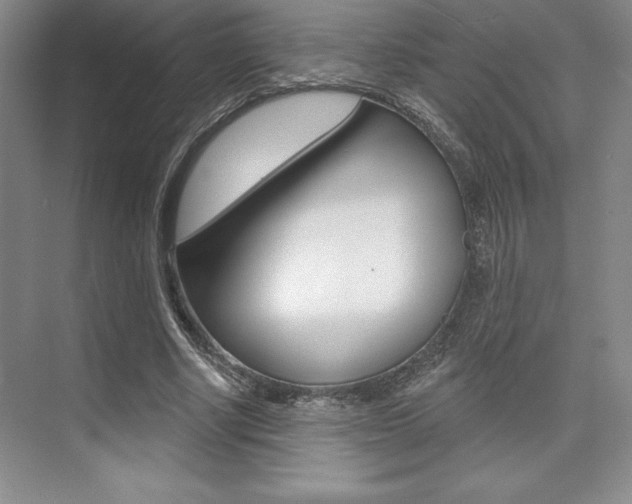 X0000073870634200608101108