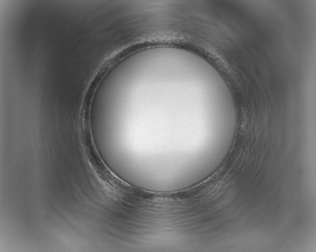 X0000073870636200608101108