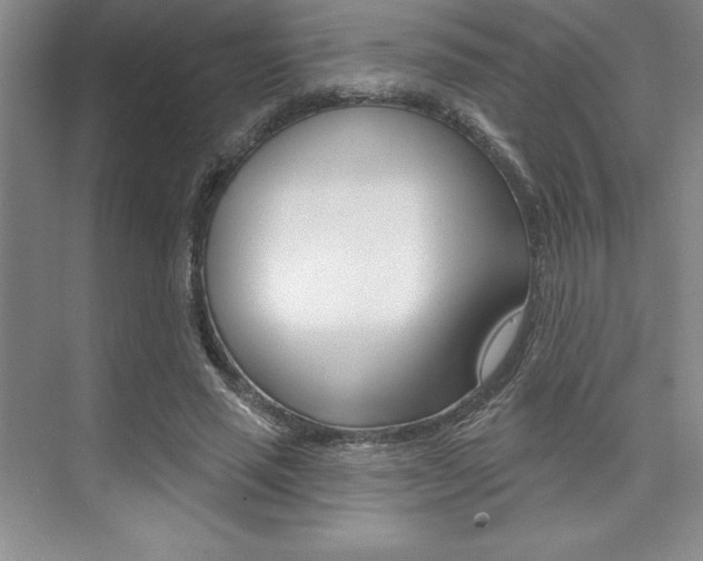 X0000073870637200608101108