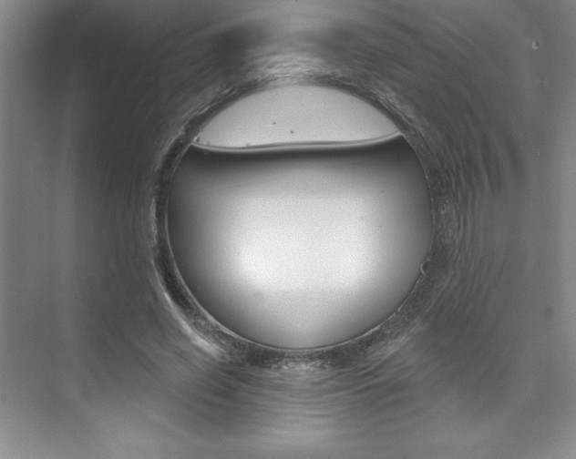 X0000073870638200608101108