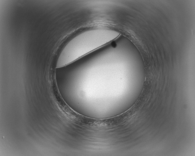 X0000073870640200608101108