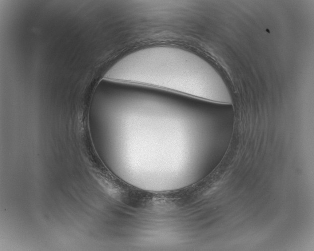 X0000073870641200608101108