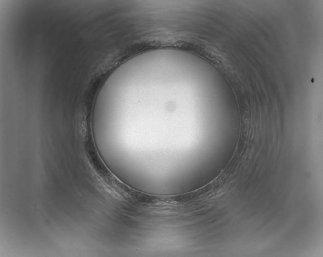 X0000073870642200608101108