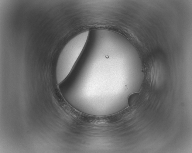 X0000073870643200608101108