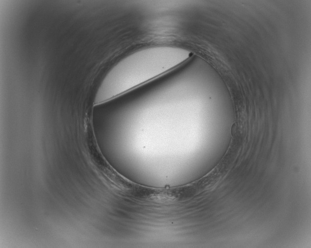 X0000073870644200608101108