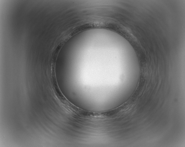 X0000073870645200608101108