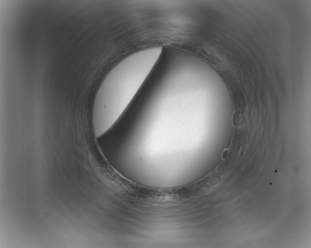 X0000073870646200608101108