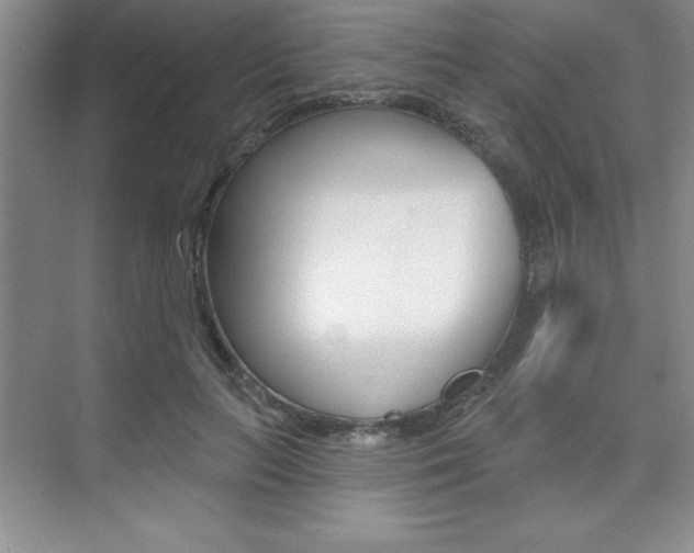 X0000073870647200608101108