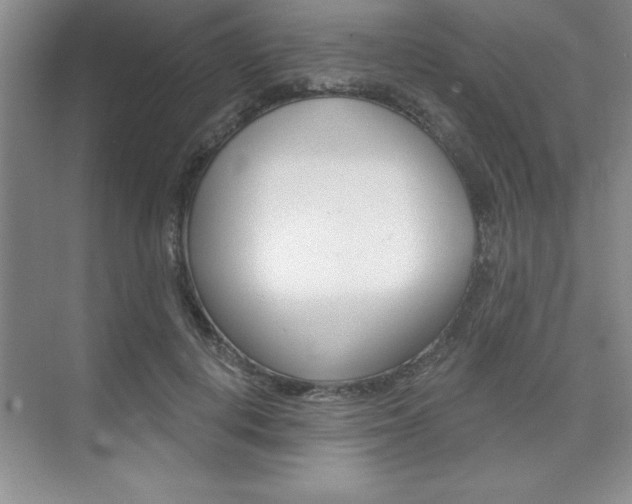 X0000073870648200608101108