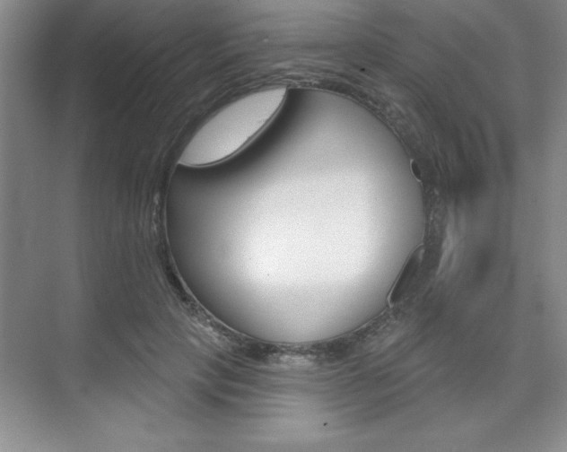 X0000073870649200608101108