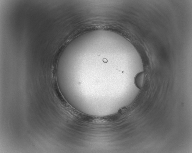 X0000073870650200608101108