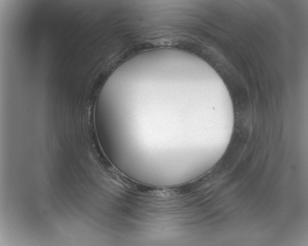 X0000073870652200608101108