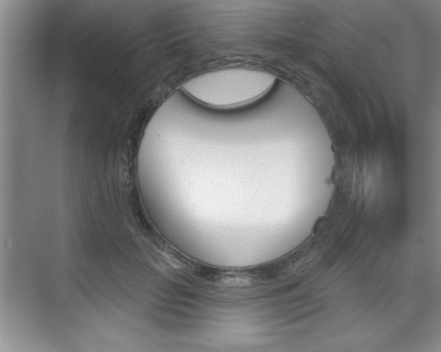 X0000073870653200608101108