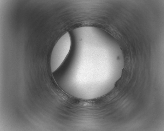 X0000073870655200608101108