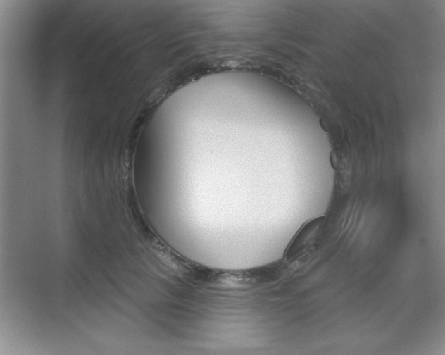 X0000073870657200608101108