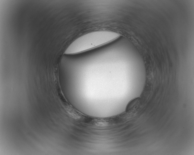 X0000073870658200608101108