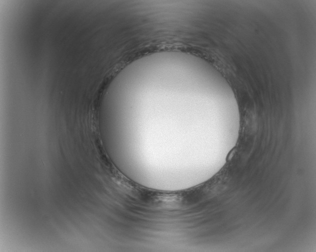 X0000073870659200608101108