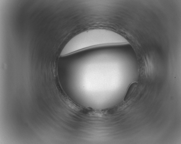 X0000073870661200608101108