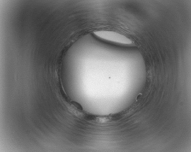 X0000073870662200608101108