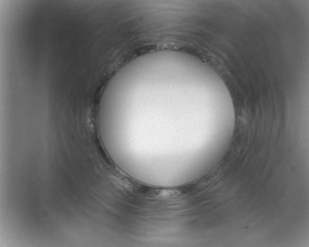 X0000073870663200608101108