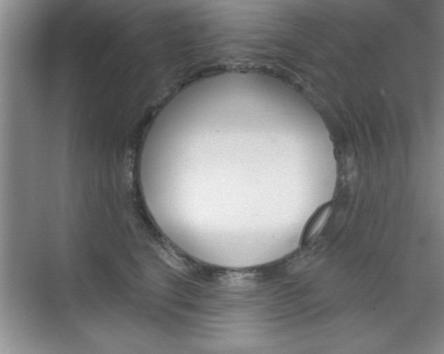 X0000073870664200608101108