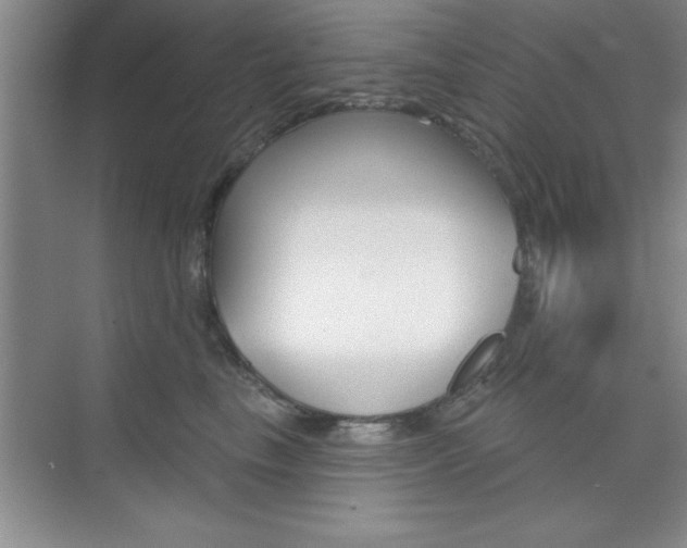 X0000073870665200608101108