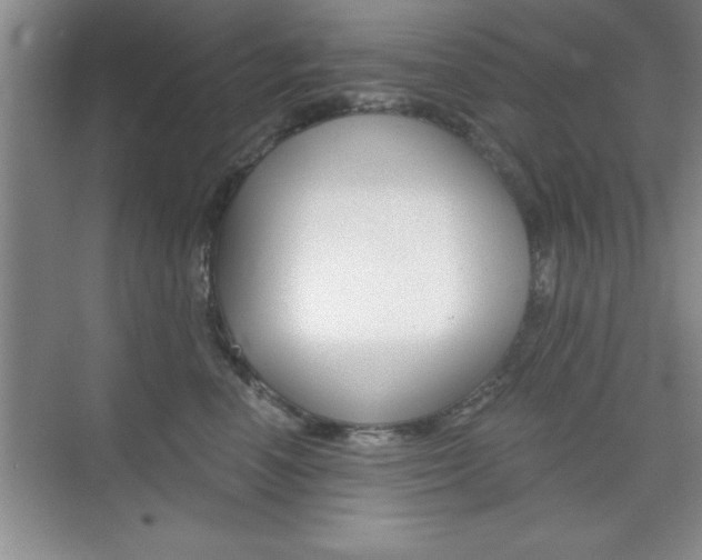 X0000073870666200608101108