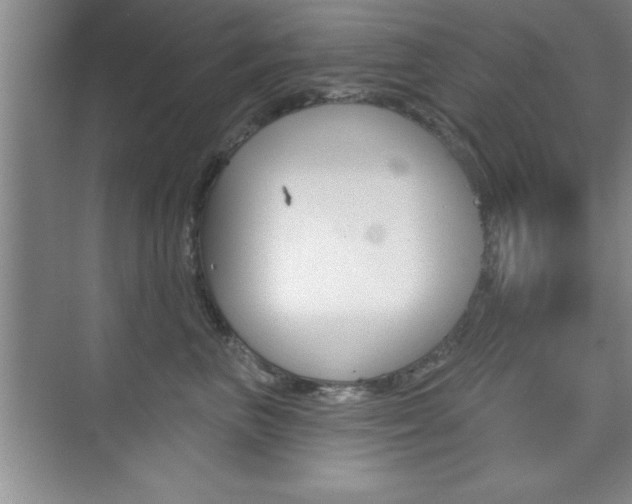 X0000073870667200608101108