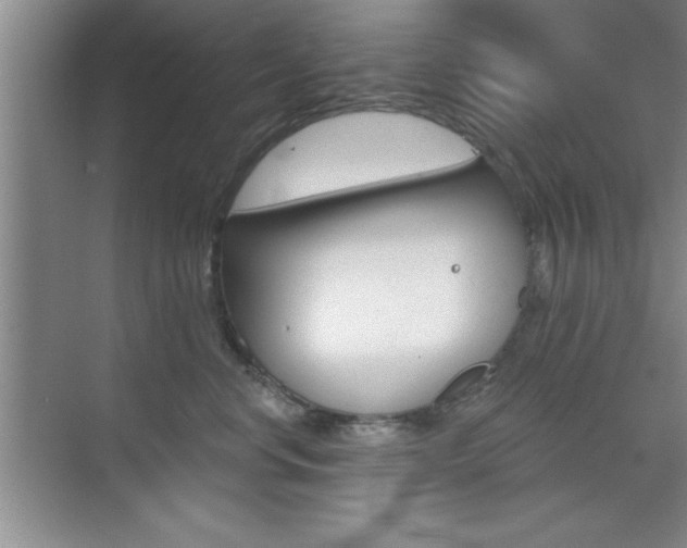 X0000073870668200608101108